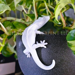 May include: A matte white, three-dimensional gecko figurine with a textured surface, positioned vertically on the side of a dark gray, speckled planter. The text THE TWISTED SERPENT LLC is visible in the center of the image, overlaid on the gecko.