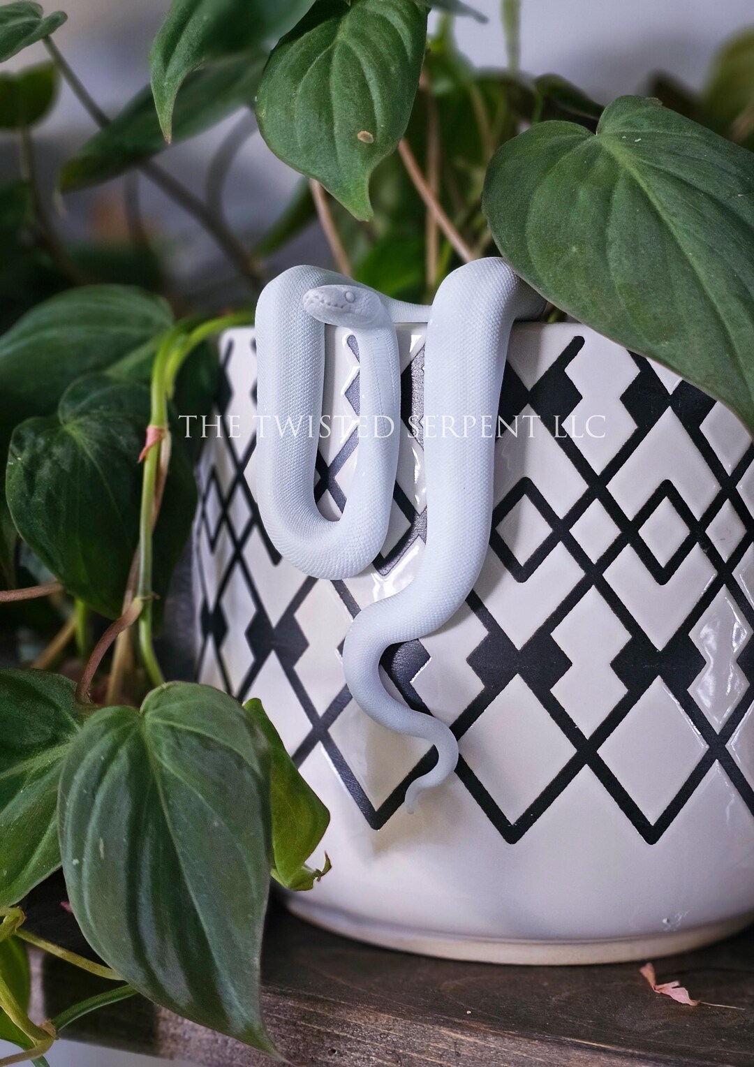 DIY Ball Python Pot Pal Kit | Handmade Reptile Craft Gift - Etsy