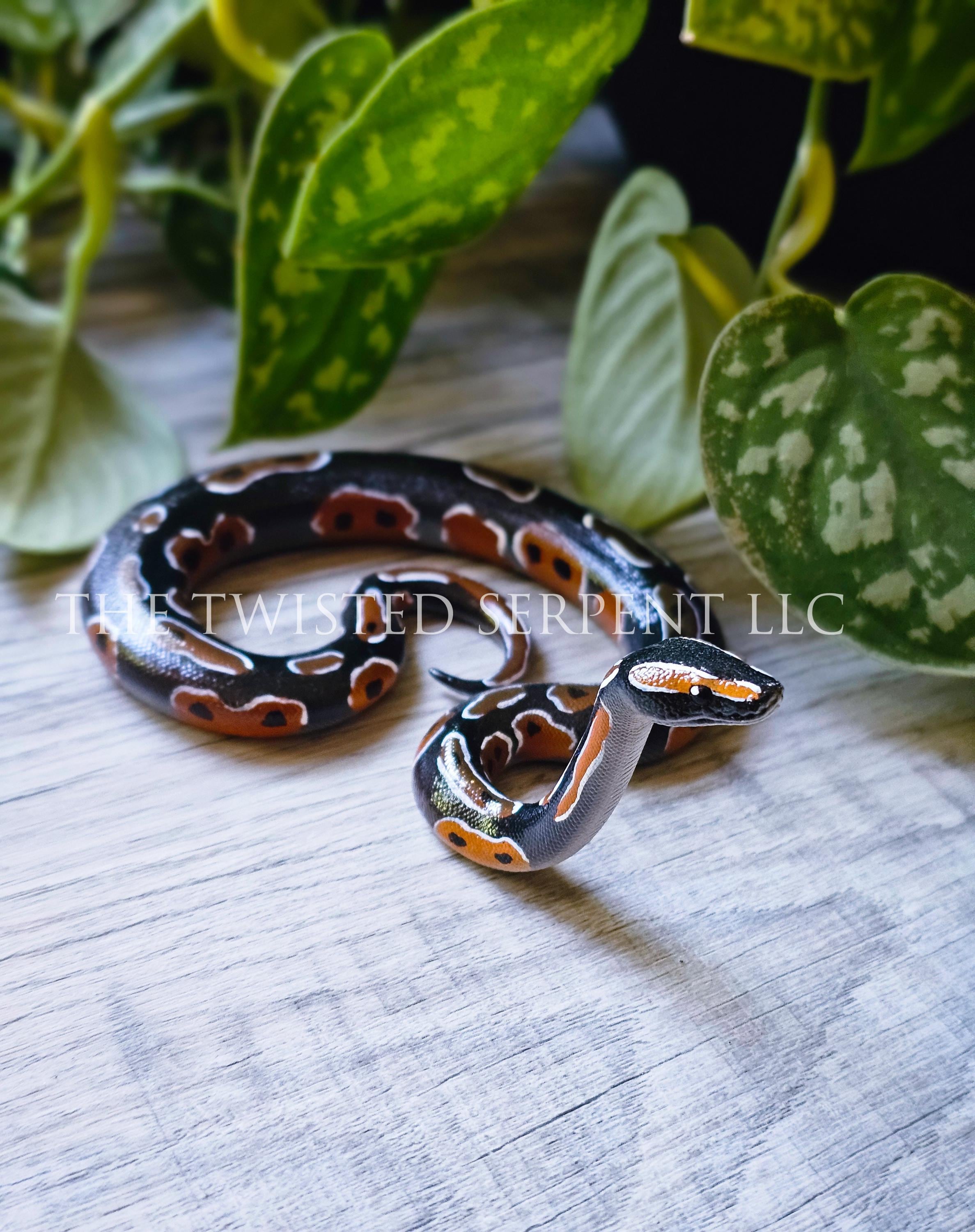 Normal Ball Python Periscope | Desktop or Tabletop Snake Pal Figurine ...