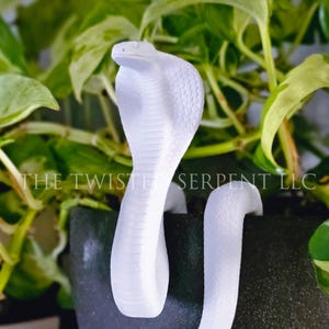 May include: A white cobra figurine with a textured hood and scaled body, featuring the text THE TWISTER SERPENT LLC printed across the center. The snake is positioned with its head raised and its tail draped over the edge of a dark container.