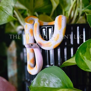 May include: A white snake with orange patches and black speckles draped over a black, vertically ribbed planter. The text THE TWISTED SERPENT LLC is visible across the center of the image, overlaid on the planter and the snake's body.