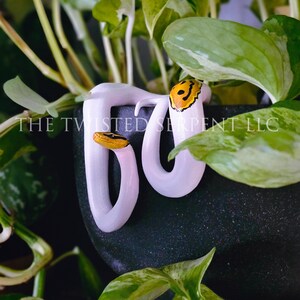 Smiley Piebald Ball Python Snake Pot Pal Figurine | Hand Painted Reptile | House Plant Pot Decor | Realistic & Detailed Handmade Art