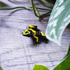 Yellow Banded Dart Frog Tabletop Figurine | Hand Painted Amphibian | House Plant Pot Decor | Realistic & Detailed Handmade Art