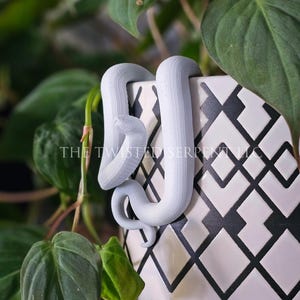May include: A light gray snake-shaped decorative item coiled around a white and black patterned planter. The text "THE TWISTED SERPENT LLC" is visible on the planter. Green leaves and stems surround the planter, creating a natural backdrop.