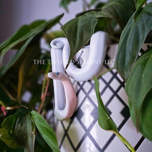 Blue Eyed Lucy Ball Python Snake Pot Pal Figurine | Hand Painted Reptile | House Plant Pot Decor | Realistic & Detailed Handmade Art