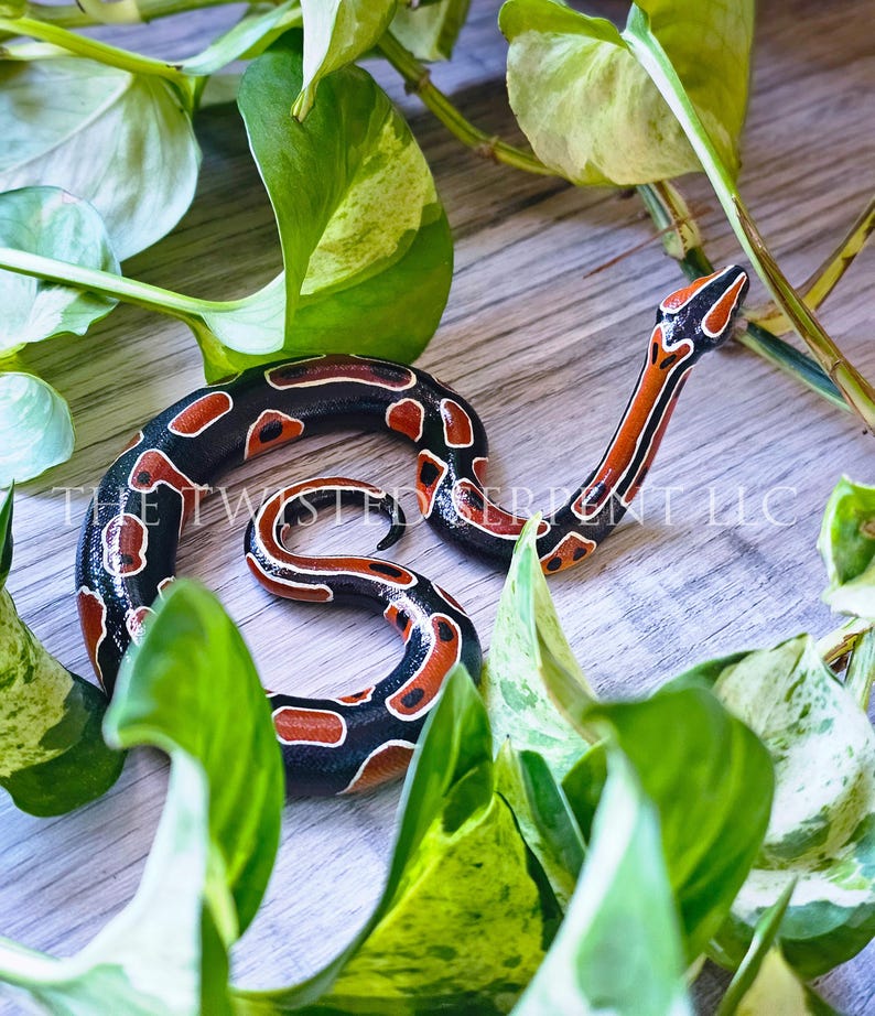 Customized Periscope | Pet Memorial Replica Ball Python Snake Pal ...