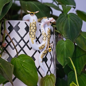 May include: A white and gold snake figurine with a honeycomb pattern and bee accents, wrapped around a black and white patterned planter. The snake has a jeweled eye and is surrounded by green leaves.