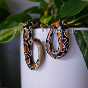May include: Two small snakes with black, orange, and white patterned scales are coiled around each other. The snakes are on a white surface.