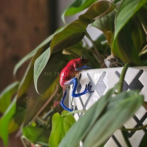 May include: A vibrant red and blue poison dart frog clings to the side of a white and black patterned planter. Lush green leaves of a houseplant surround the frog, creating a naturalistic scene. The text "THE TWISTED SERPENT" is visible on the planter.