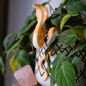 May include: A decorative orange and white cobra figurine with orange spots, positioned among green leafy plants in a black and white patterned pot. A pink crystal sits on a wooden shelf. The text "THE TWISTED SERPENT LLC" is visible.