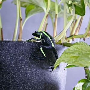 May include: A black and green poison dart frog perched on a dark textured pot. The frog has bright green stripes and markings. The pot is surrounded by green and white leafy plants. The text "THE TWISTED SERPENT LLC" is visible on the pot.