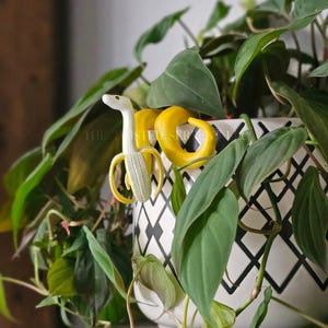 May include: A whimsical banana-shaped plant stake with a snake head, and a yellow banana peel. The stake is placed in a white and black patterned ceramic pot filled with green leafy plants. The text "THE TWISTED DESIGNS" is visible.