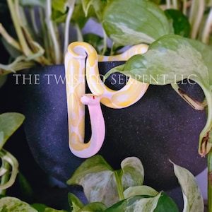 Albino Ball Python Snake Pot Pal Figurine | Hand Painted Reptile | House Plant Pot Decor | Realistic & Detailed Handmade Art