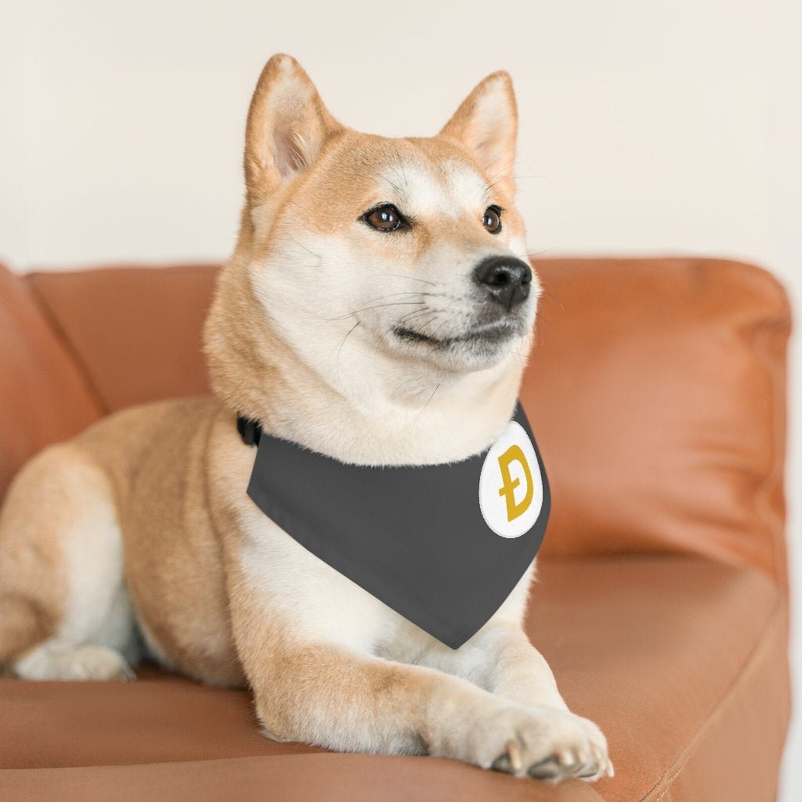 DOGE Crypto Pet Bandana Collar Dogecoin Crypto Dog Collar Etsy