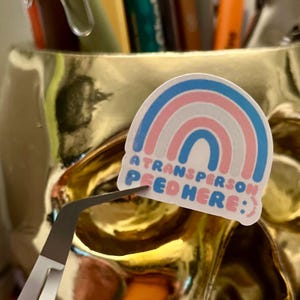 trans stickers mini stickers mini sticker pack trans person was here be ungovernable holographic holo LGBTQ support trans kids