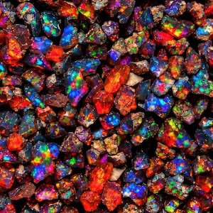 Op de afbeelding: Een verzameling ruwe, donker getinte opalen met intense flitsen van iriserende kleuren, waaronder levendig rood, elektrisch blauw, heldergroen en oranje. Deze kleine, onregelmatige edelsteenfragmenten vertonen een hoge mate van kleurenspel.