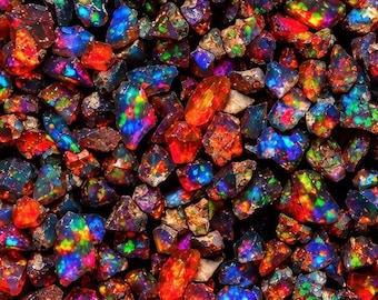 May include: A collection of raw, dark-toned opals featuring intense flashes of iridescent colour including vibrant red, electric blue, bright green, and orange. These small, irregular gemstone fragments display a high degree of play-of-colour.