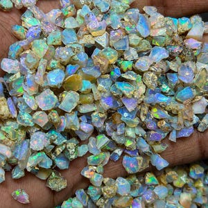 May include: A collection of small, raw opal gemstones featuring a translucent white base with vibrant flashes of iridescent blue, green, and pink light. These irregular, jagged mineral fragments display a natural, unpolished texture.