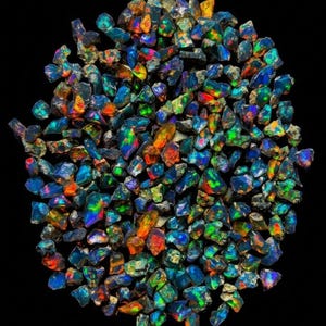 May include: A collection of small, raw black opal gemstones arranged in a circular cluster. Each stone features a dark base with vibrant, iridescent flashes of blue, green, orange, and red light reflecting from their irregular, multifaceted surfaces.