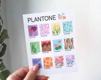 May include: A printable chart with the word "Plantone" at the top. The chart is divided into 12 squares, each featuring a different flower illustration. The flowers are in various colors, including pink, purple, blue, yellow, and green. Each square has the word "Plantone" written below the flower.