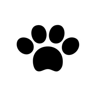 Dog Paw Print | Digital Print | A4 | PNG PDF