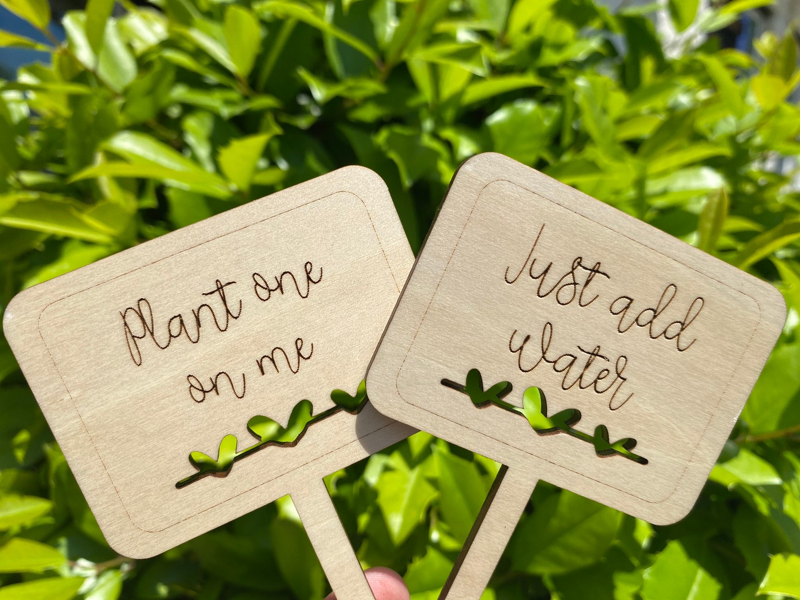 Funny Plant Stakes SVG Plant Stakes SVG Funny Plant Marker Etsy