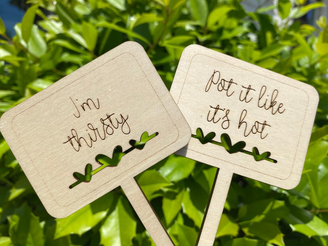 Funny Plant Stakes SVG Plant Stakes SVG Funny Plant Marker Etsy