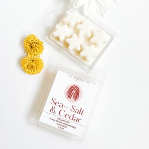 Soy Wax Melts/Strong Fragrance/Non-Toxic/Bohemian/Boho Gift Idea/ Aesthetic/ Gift Set Idea/ Gift Ideas/Small Gifts