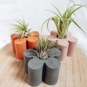 以下が含まれることがあります： グレー、ピンク、オレンジの3つの花の形をしたコンクリート製のプランターで、それぞれ小さなエアプラントが入っています。プランターは木製の表面に並べてあります。