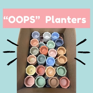 May include: A cardboard box filled with small, colorful, geometric planters. The planters are in shades of pink, blue, green, and beige. The text "OOPS" Planters is displayed in a pink banner above the planters.