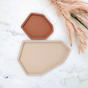 May include: Two decorative trays in a neutral color palette. The top tray is a terracotta color, and the bottom tray is a light beige. Both trays have an irregular geometric shape. The background includes dried ornamental grass.