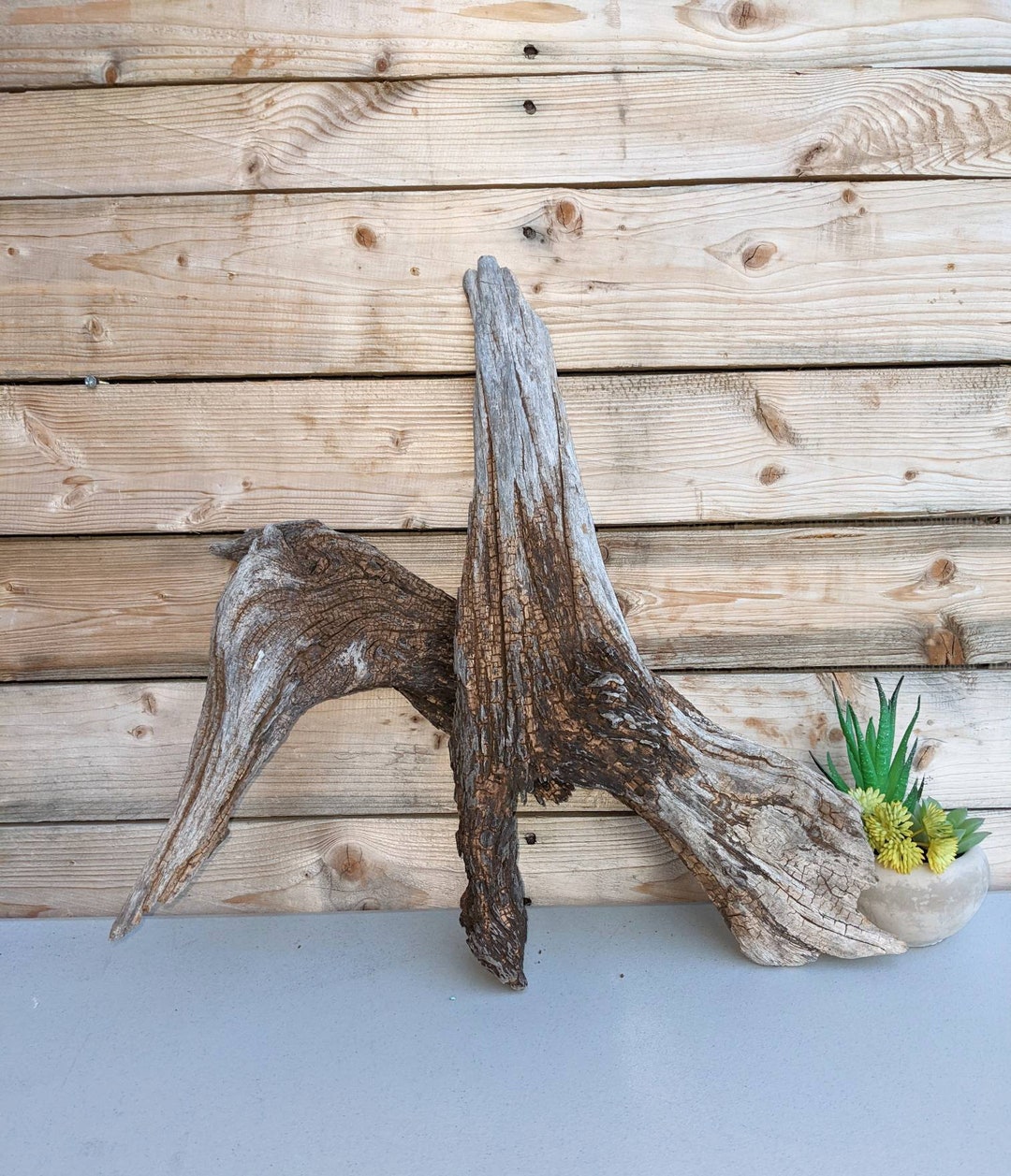 D86 Large Driftwood Sculpture,uniquely Shaped Terrerium,vivarium Driftwood,lizard,bearded Dragon
