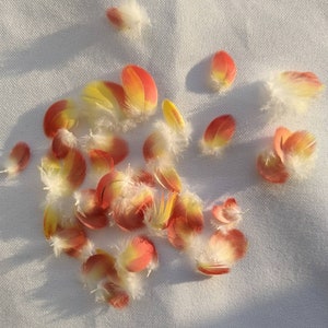 May include: A collection of small, soft feathers scattered across a surface. Each feather features a gradient color pattern, transitioning from a bright yellow base to a vibrant orange-red tip, with delicate white downy filaments at the quill.