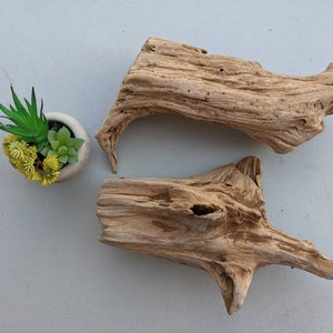 May include: Two pieces of driftwood, one long and thin, the other shorter and more rounded, with a natural brown color and a rough texture.