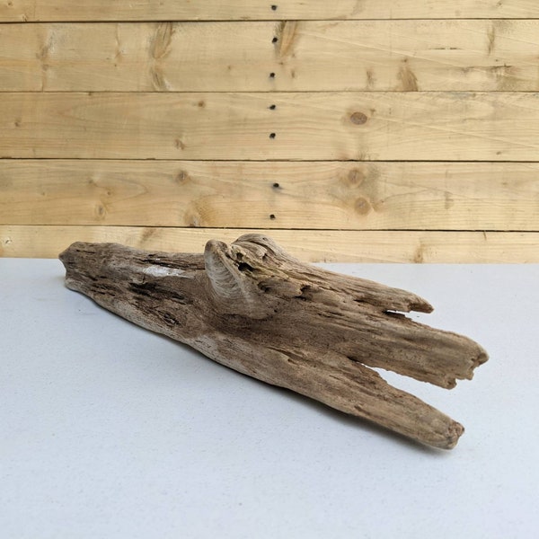 D4 19"Driftwood sculpture,terrerium,vivarium driftwood branch,gecko/lizard perch,airplant,wall,table decor,turtle,bearded dragon basking log