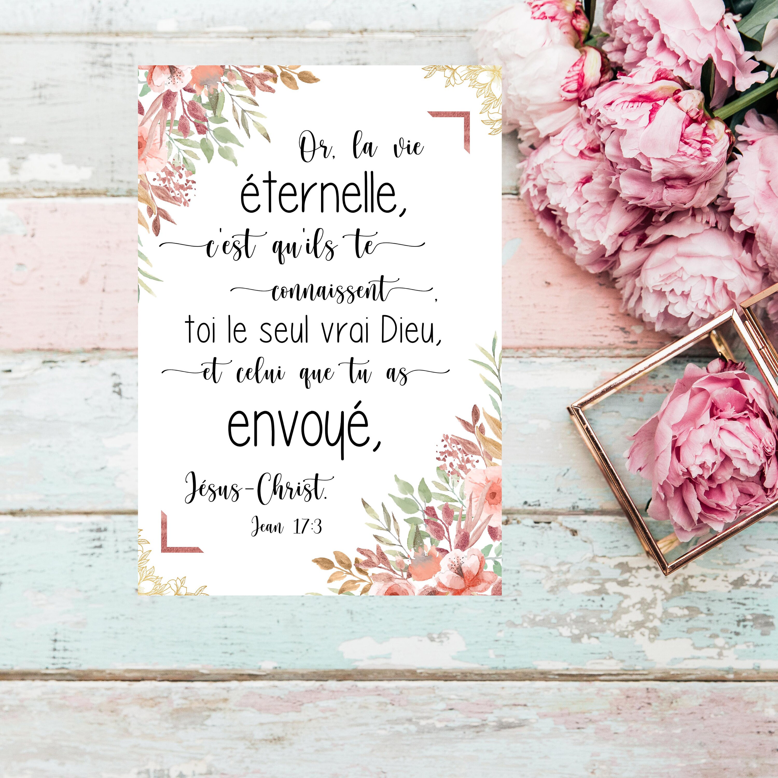 French Bible verse Jean 173 Instant download quote print in Etsy