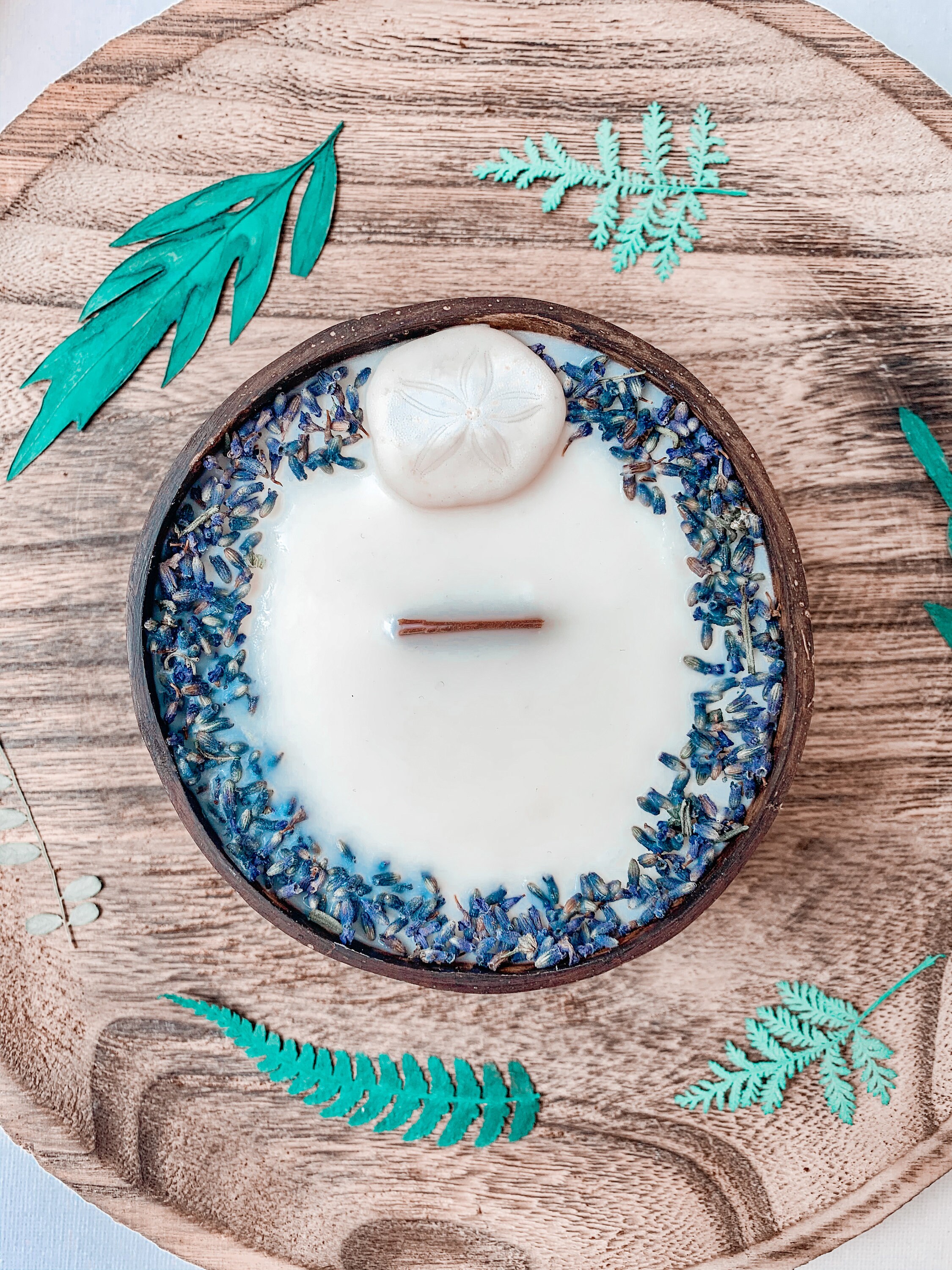 Bougie Dollar Sand Coque Noix de Coco