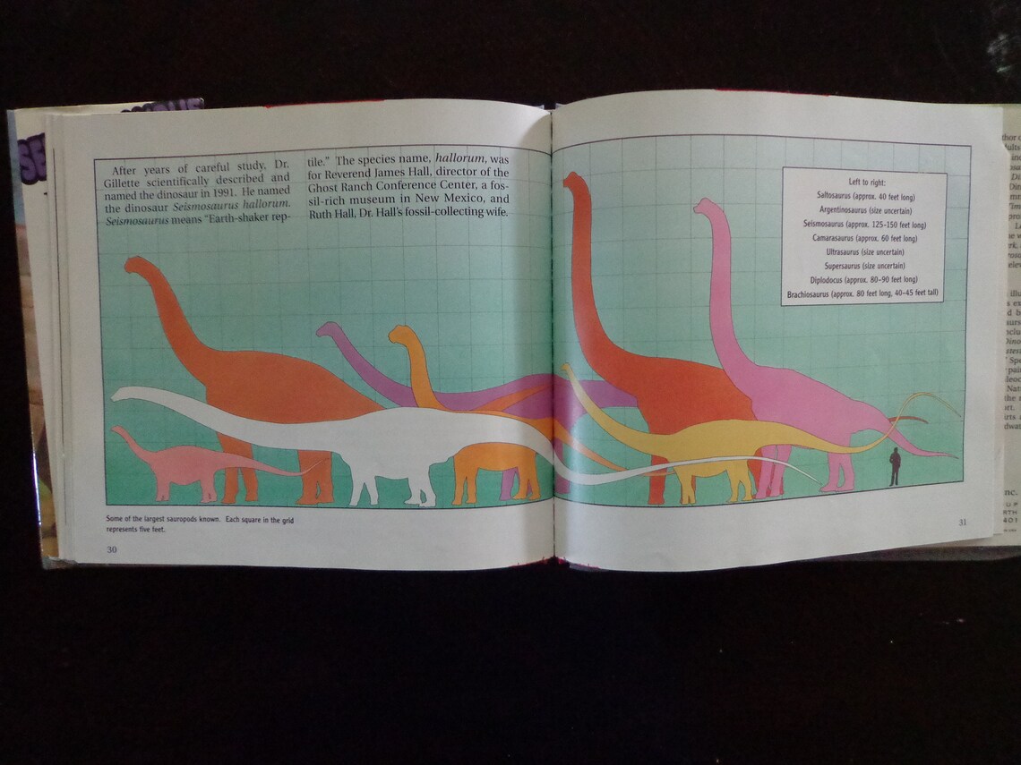 what's the longest dinosaur