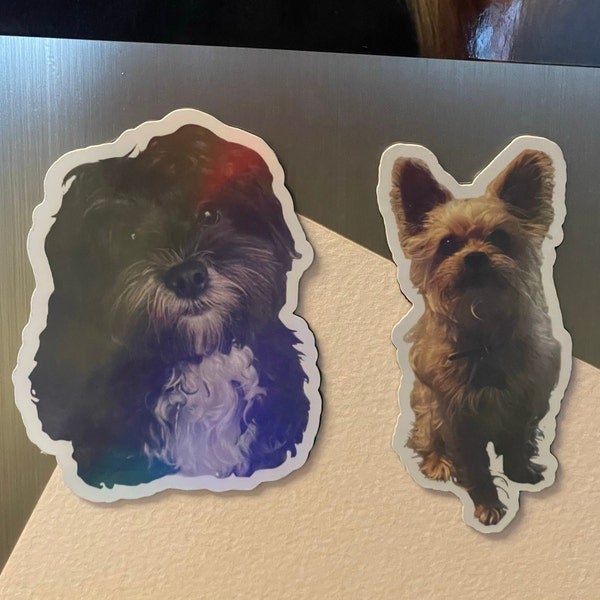 Custom Photo Magnet, Custom Pet Magnet, Personalized Photo Magnet, Gift for Pet Parents, Gift for Parents, Business Magnet, Party Favor