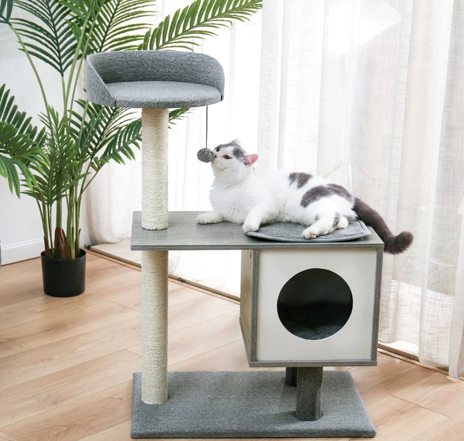 medium sized cat tree