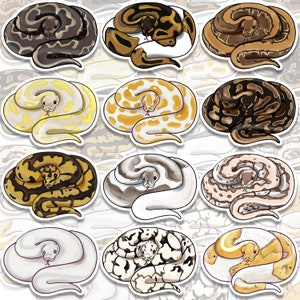 ball python stuffed animal