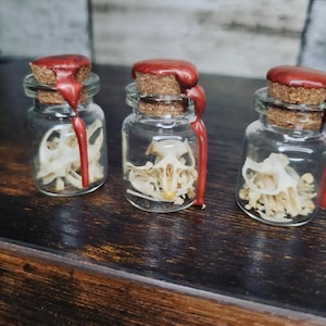 May include: Three small glass jars with red wax seals and white animal skeletons inside. The jars are on a dark brown wooden surface.