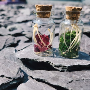 May include: Two small glass bottles with cork stoppers. One bottle contains dried red petals and bones, the other contains green moss and bones. The bottles are displayed on a grey, textured surface.