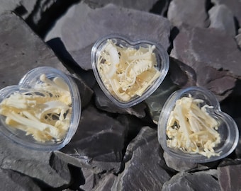 Mini muestra de hueso: huesos de animales de origen ético en una caja con forma de corazón.