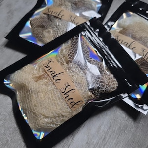 May include: Multiple clear bags with black edges, each holding a snake shed. The bags have a holographic effect and are labelled with a brown tag that reads "Snake Shed" in cursive.