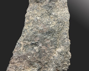 High grade Silver vein on Diabase, Siscoe Mine, Nicol Township, Ontario, 9cm CO87, Rocks Minerals and Crystals