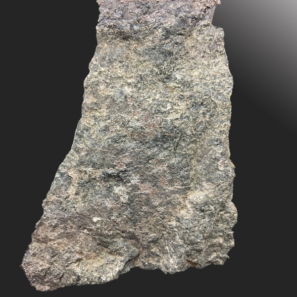 Veine d'argent à haute teneur sur diabase, mine Siscoe, canton de Nicol, Ontario, 9 cm de CO87, minéraux et cristaux de roche