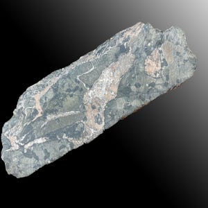 May include: A rough-hewn, elongated stone with a mix of gray, green, and tan hues. The surface features a network of white and light brown veins, creating a marbled effect. The stone is set against a gradient black and gray background.