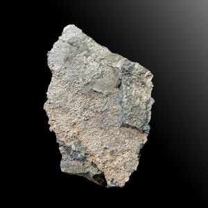 Native Silver Leaf on metasediments La Rose Mine Coleman Twp. near Cobalt Ontario, 7cm CO248, precious metals, Fine Minerals and Crystals