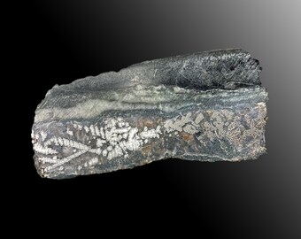 High Grade Silver Ore From Montana! 3 Lb Cabinet Specimen - Etsy